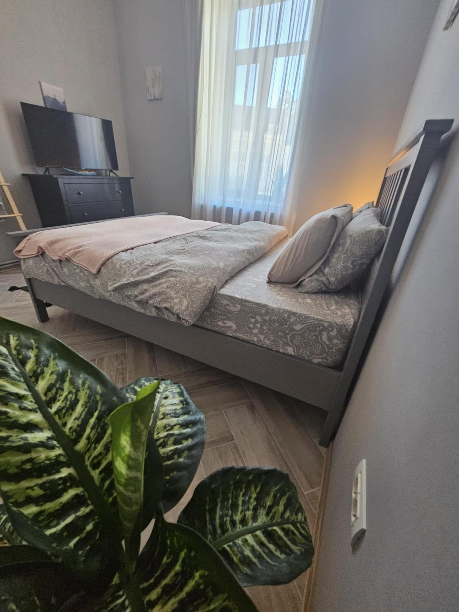 קונסטנצה Zig Zag Apartment 4- Old Town מראה חיצוני תמונה